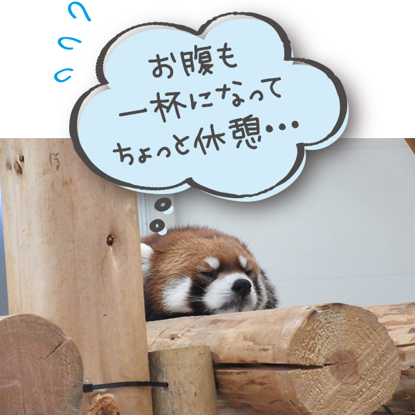 遠足