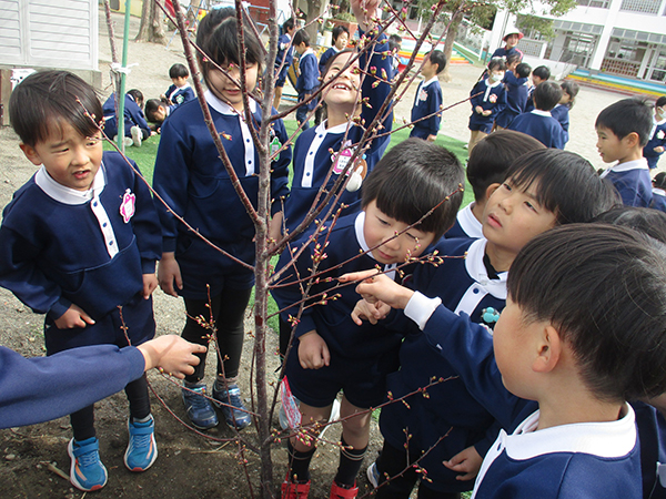 記念植樹